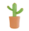 Cactus Plant