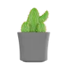 Cactus Plant