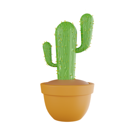 Cactus Plant  3D Icon