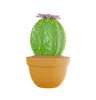 Cactus Plant