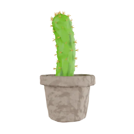 Cactus Plant  3D Icon