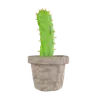 Cactus Plant