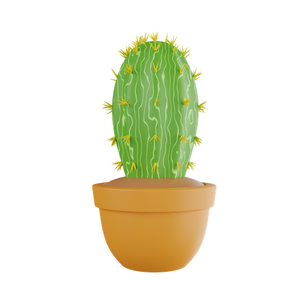 Cactus Plant  3D Icon