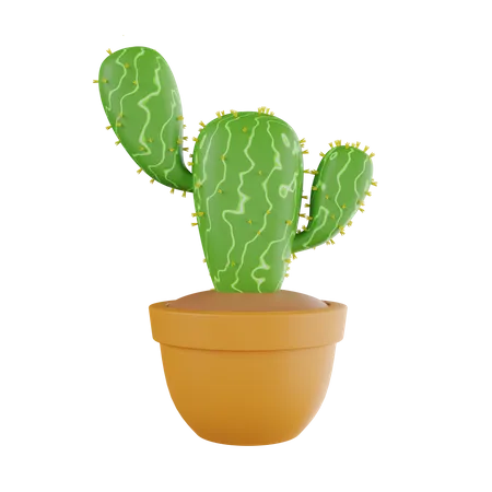 Cactus Plant  3D Icon