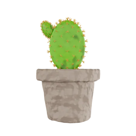 Cactus Plant  3D Icon