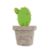 Cactus Plant