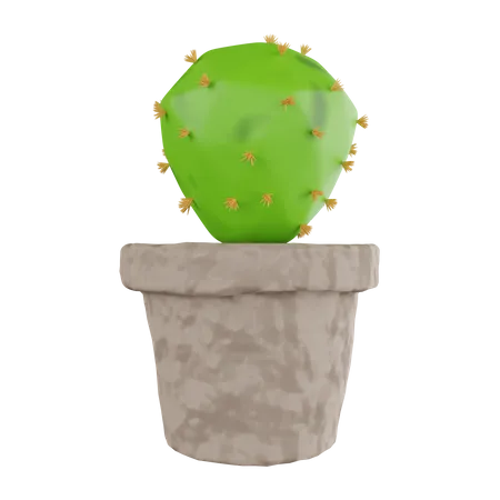 Cactus Plant  3D Icon