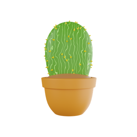 Cactus Plant  3D Icon