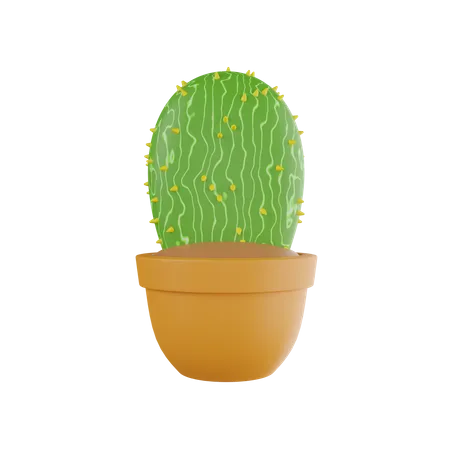 Cactus Plant  3D Icon