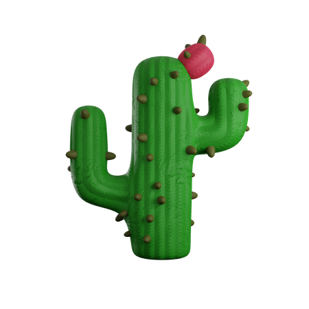 Cactus Plant  3D Icon