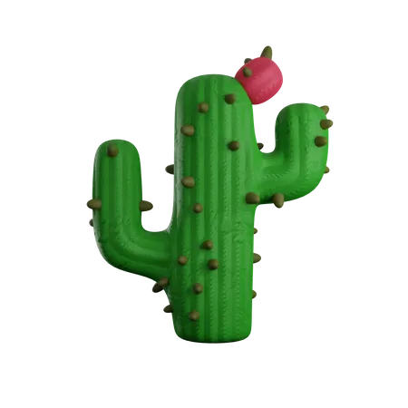 Cactus Plant  3D Icon