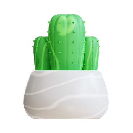 Cactus Plant  3D Icon