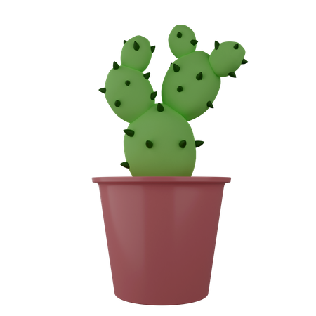 Cactus Plant  3D Illustration