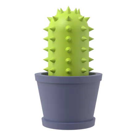 Cactus Plant  3D Illustration