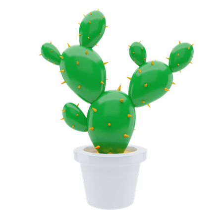 Cactus Plant  3D Illustration