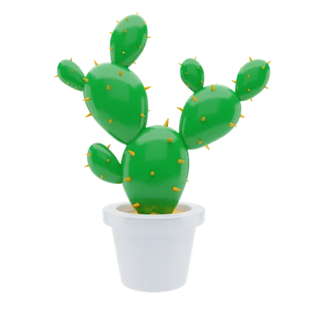 Cactus Plant  3D Illustration