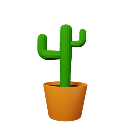 Cactus plant 3D Illustration