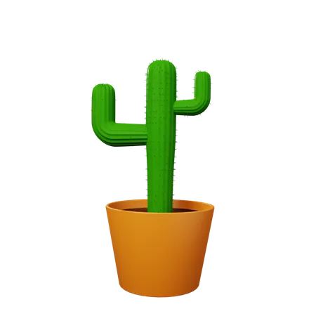 Cactus plant  3D Illustration