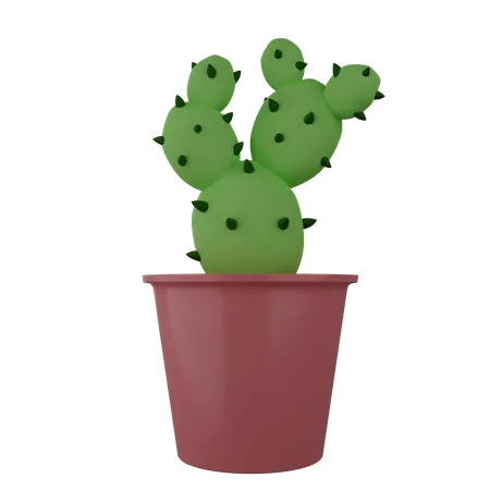 Cactus Plant  3D Illustration