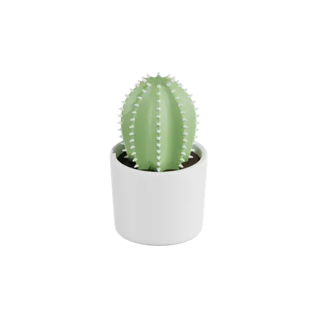 Cactus Plant 3D Icon