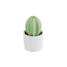 3d cactus ornamental plant emoji