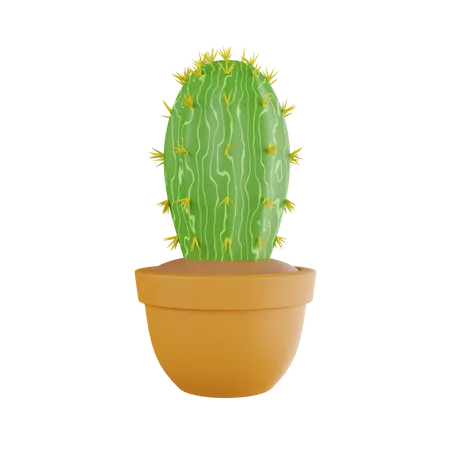 Cactus Plant  3D Icon