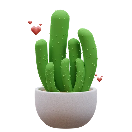 Cactus Plant  3D Icon