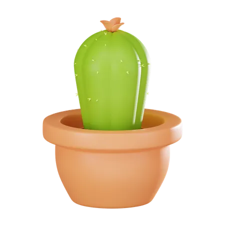 Cactus Plant Perfect For Nature Botanical Art And Decorative Purposes Ideal For Eco Friendly And Desert Themed Projects 3 D Render Illustration 3D Icon