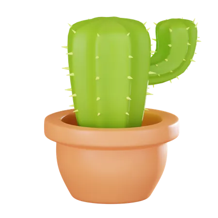 Cactus Plant Perfect For Nature Botanical Art And Decorative Purposes Ideal For Eco Friendly And Desert Themed Projects 3 D Render Illustration 3D Icon