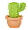 Cactus Plant Pot