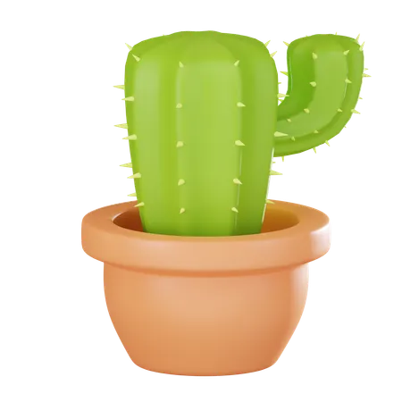 Cactus Plant Pot  3D Icon