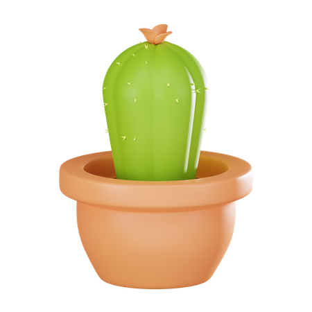 Cactus Plant Pot  3D Icon