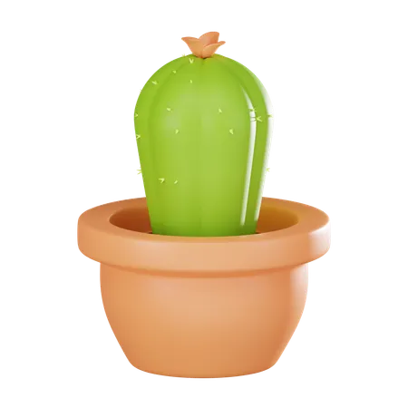 Cactus Plant Pot  3D Icon