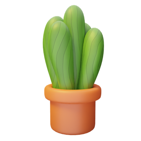 Cactus Plant Pot  3D Illustration