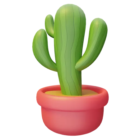 Planta de cactus  3D Illustration