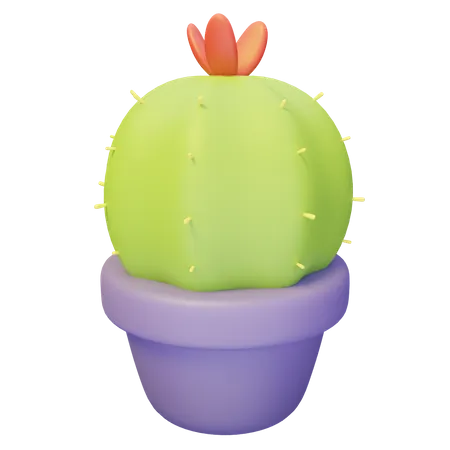 Plante de cactus  3D Illustration