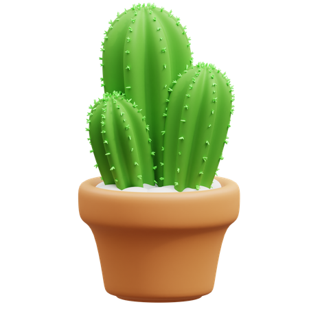 Cactus Pot  3D Icon