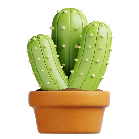 선인장 냄비  3D Icon