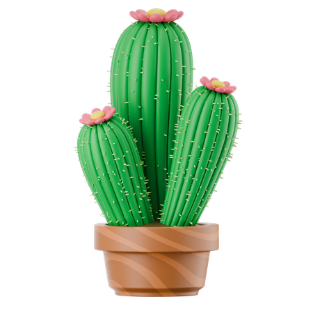 선인장 냄비  3D Icon