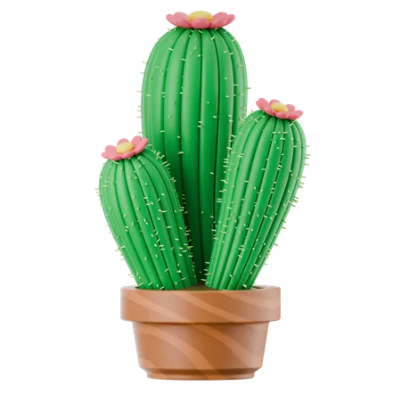선인장 냄비  3D Icon