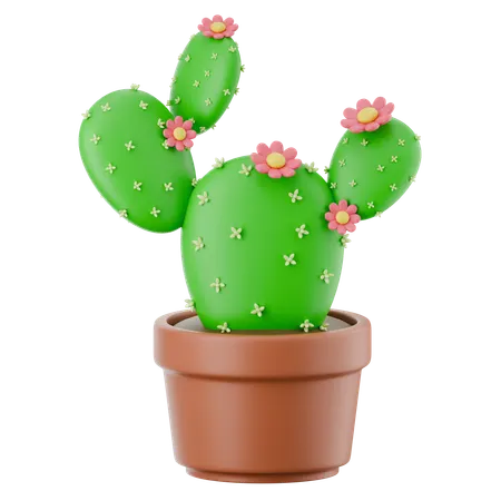 선인장 냄비  3D Icon