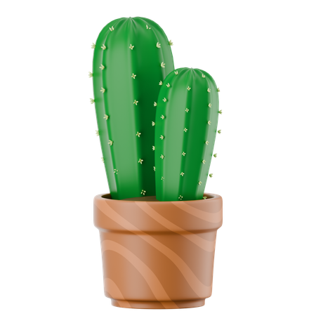 선인장 냄비  3D Icon