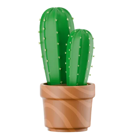 선인장 냄비  3D Icon