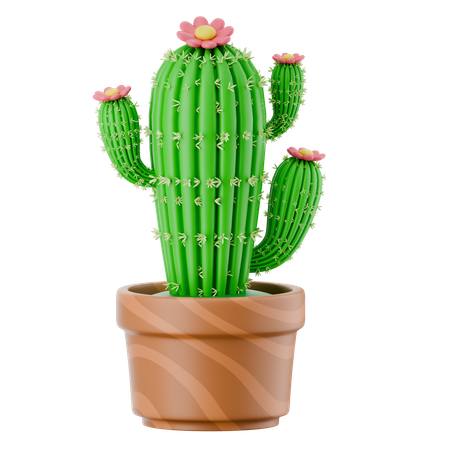 선인장 냄비  3D Icon