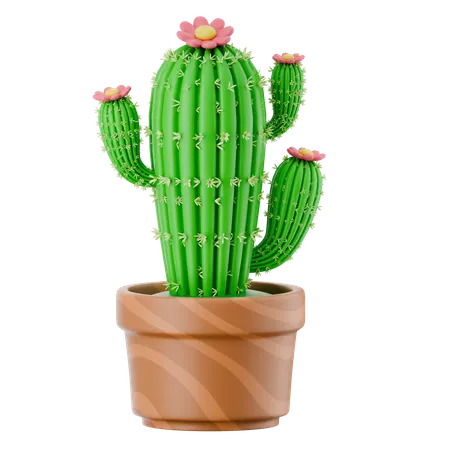선인장 냄비  3D Icon
