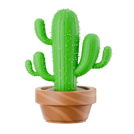 선인장 냄비  3D Icon