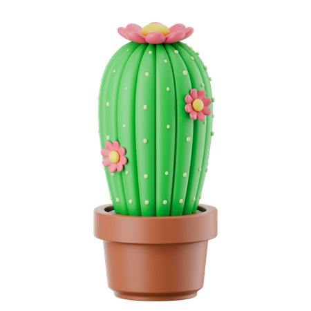 선인장 냄비  3D Icon