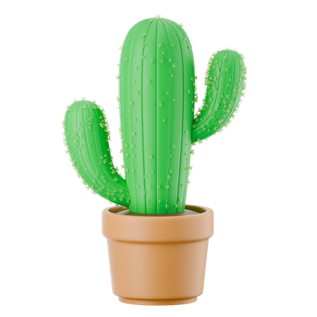 선인장 냄비  3D Icon