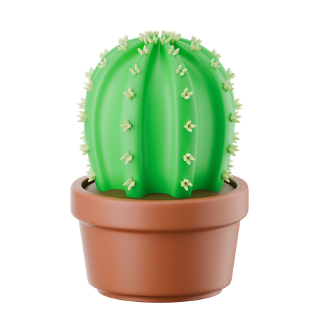 선인장 냄비  3D Icon