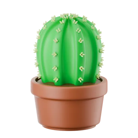 선인장 냄비  3D Icon